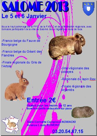 Site de rencontre chti